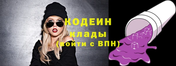 дурь Гусев