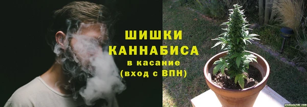 дурь Гусев