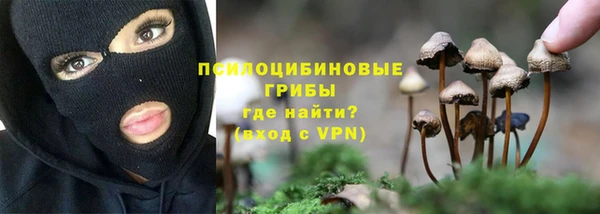 дурь Гусев