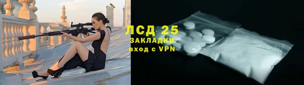 дурь Гусев