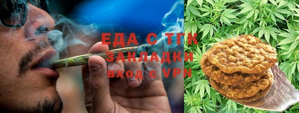 дурь Гусев