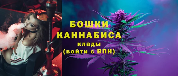 дурь Гусев