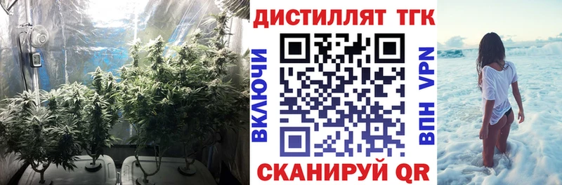 Купить  Приморск  ТГК THC oil 