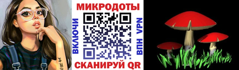 Галлюциногенные грибы мухоморы  Купить закладки  Приморск 